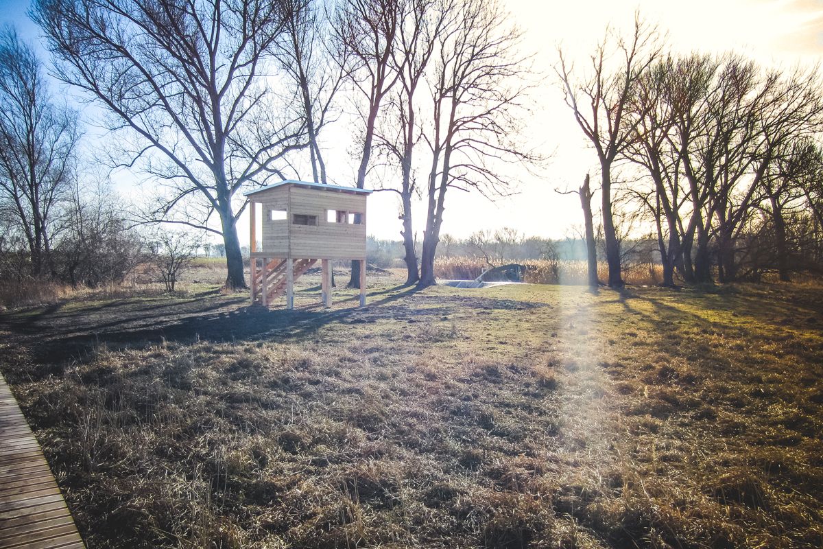 Bohlenweg, Vogelbeobachtungsturm, Absperrbauwerk