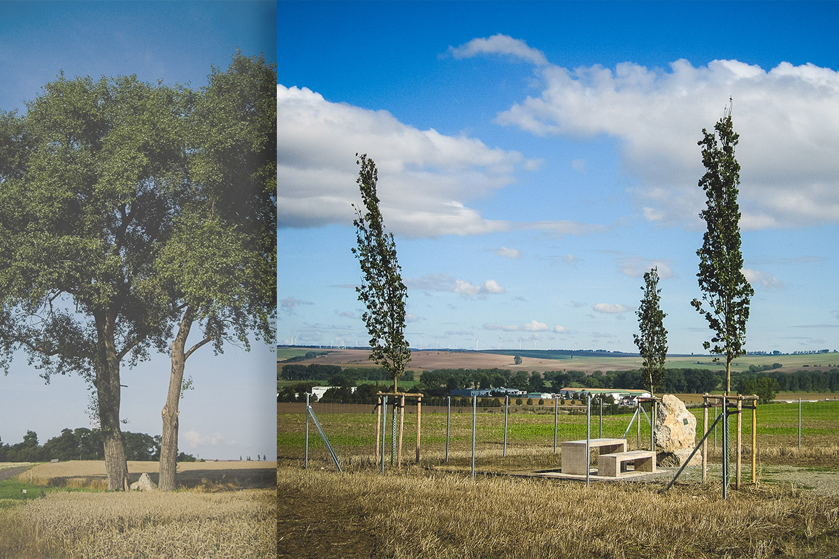 ​Der historische Kareestein oberhalb von Bad Langensalza vor und nach der Neugestaltung | Fotos: VLF Thüringen