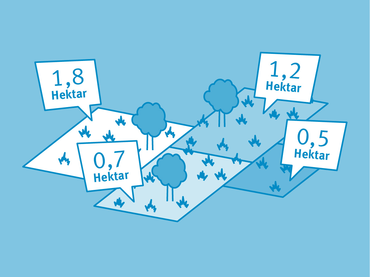Umrechnungskoeffizienten für Ackerland nach Fläche