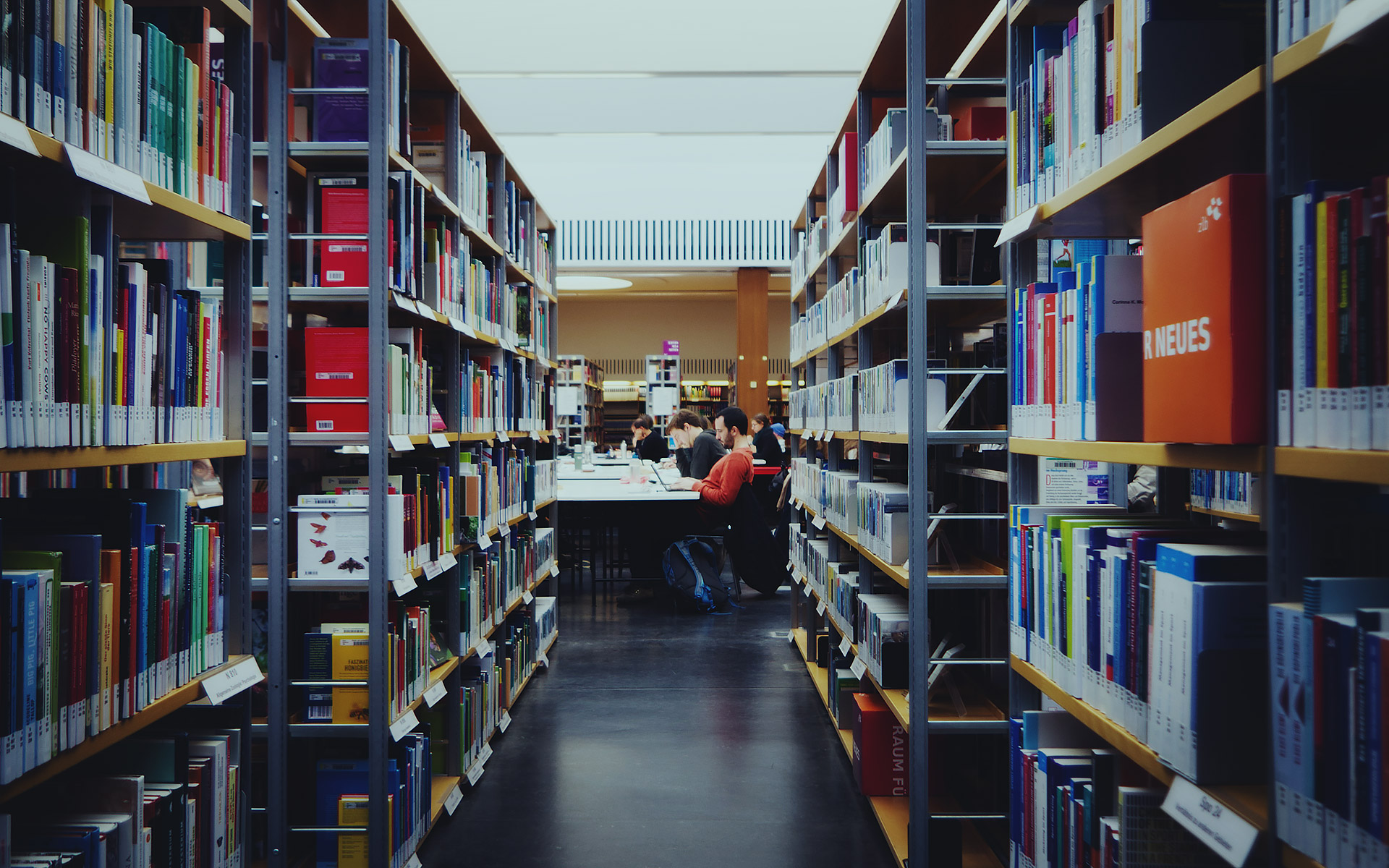 Studierende in einer Bibliothek