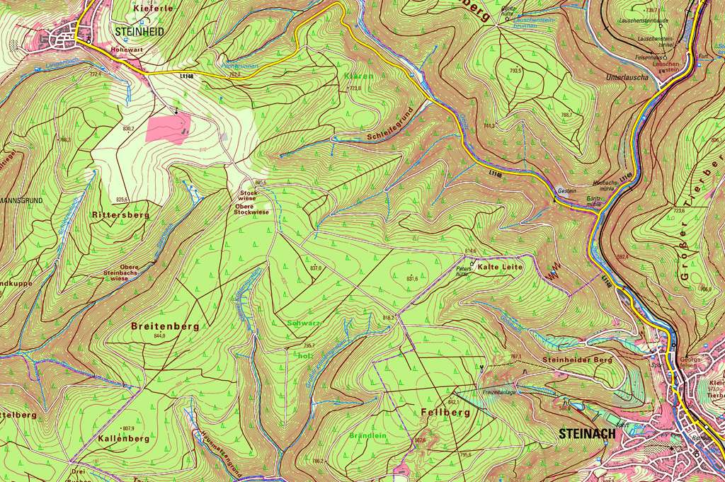 Kartenausschnitt aus der Karte 1:25 000 Steinach Kartenausschnitt aus der Karte 1:25 000 Steinach